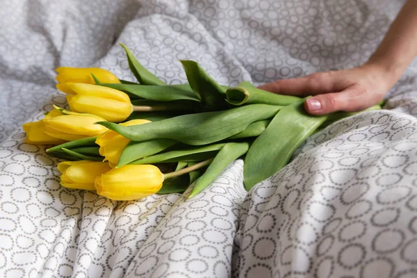 Bouquet of yellow tulips in woman hands. Beautiful spring fresh flowers in the sun. Floral romantic mood. Nice gift for woman. Springtime blossom, tulips bunch. Womens holiday celebration