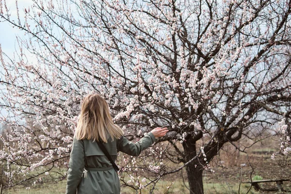 Dívka Pod Krásným Kvetoucím Stromem Kvetoucí Meruňkové Bílé Růžové Květy — Stock fotografie