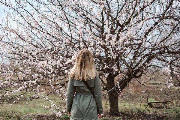 Dívka Pod Krásným Kvetoucím Stromem Kvetoucí Meruňkové Bílé Růžové Květy — Stock fotografie