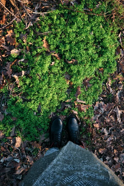 Žena Stojí Podzimním Listí Listoví Pod Tvýma Nohama Podzimní Sezóna — Stock fotografie