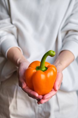 Kız ellerinde renkli dolmalık biber tutuyor. Olgun taze tatlı biber. Sağlıklı yiyecekler, organik sebzeler. Doğal vitaminler, yemek için ham malzeme. Özenle seçilmiş bio capsicum