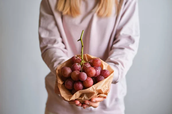 Bunch of grapes in the hands of a girl. Handpicked ripe grapes closeup. Red wine grapes. Fresh juicy berries. Healthy organic sweet fruit. Delicious autumn natural dessert. Vitamins diet for woman