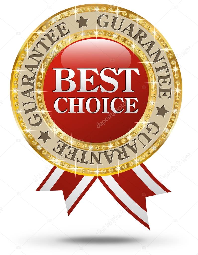 Best choice logo template