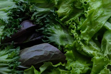 Taze marul deseni, sağlıklı yaşam tarzı konsepti.