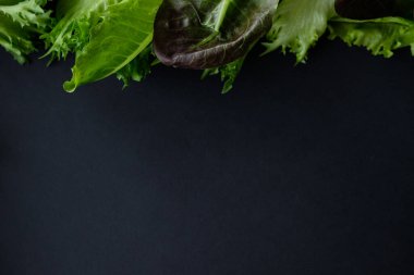 Koyu arkaplanda marul çerçevesi
