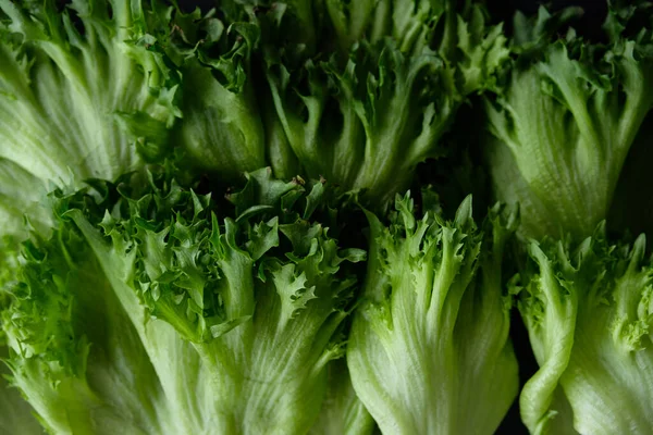 Frisches Salatmuster Gesundes Lebensstil Konzept — Stockfoto