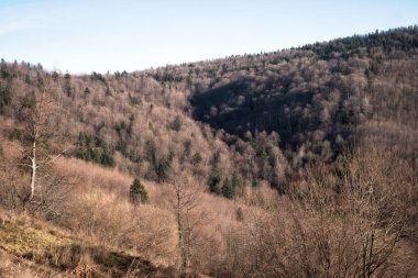 Dağlar ağaçlar ve tarlalar ile görünür