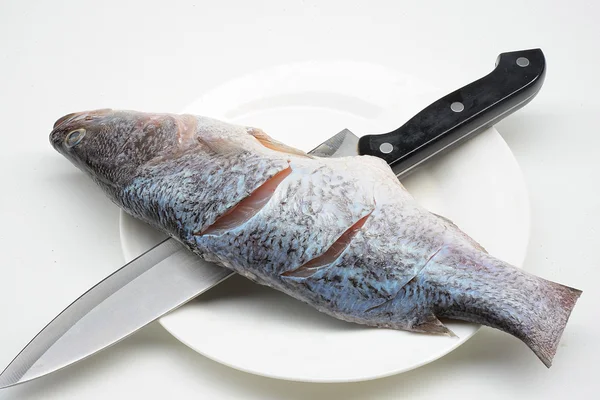 Seabass or barramundi fish on white background — Φωτογραφία Αρχείου