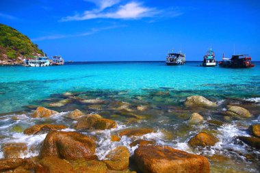 güzel cennet tropikal ada, koh tao, Tayland