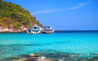 güzel cennet tropikal ada, koh tao, Tayland