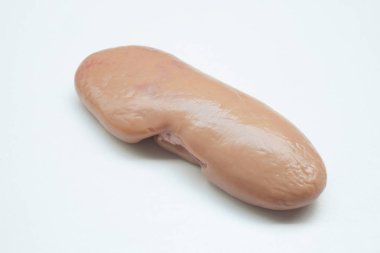 Pig kidney on a white background clipart
