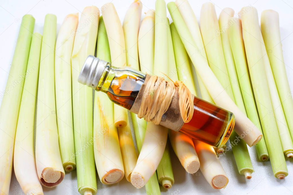 Lemongrass Essential Oil on white background.