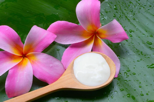 Face Mask Yogurt natural spa treatments for skin. — Stock Photo, Image