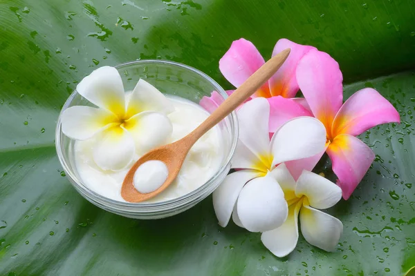 Face Mask Yogurt natural spa treatments for skin. — Stock Photo, Image