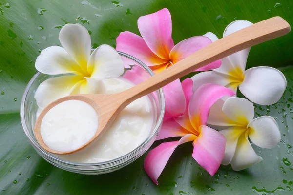 Cilt için maske yoğurt doğal spa bakımları yüz.