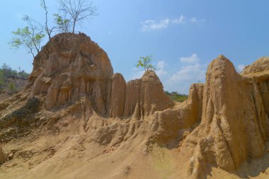 Sao DIN Na Noi toprak dokular Sri Nan Milli Park, Nan Tayland.
