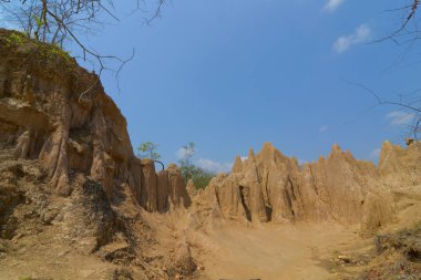 Sao DIN Na Noi toprak dokular Sri Nan Milli Park, Nan Tayland.