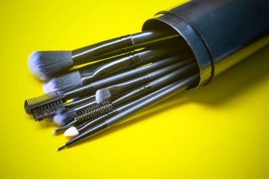 Profesyonel makyaj fırçaları ve araçları