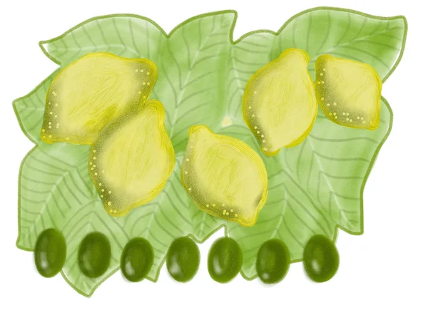 Kleurrijke set van citroenen en olijven op Bladeren door potlood getekend — Stockfoto