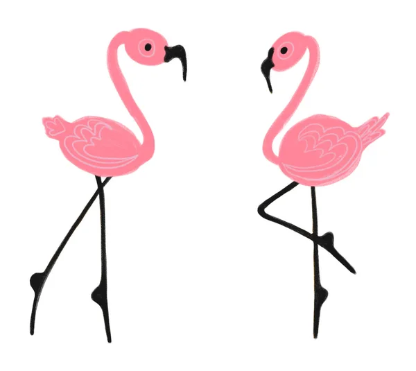 Bunte handgezeichnete rosa Flamingos, Illustration bemalt — Stockfoto