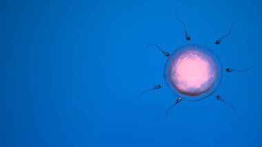 Sperm hücresi ile insan yumurtasının doğal döllenmesi, spermatozoonlar, 3D görüntüleme, metin için yer