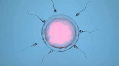 Sperm hücresiyle insan yumurtasının doğal döllenmesi, spermatozoonlar, 3 boyutlu görüntüleme.