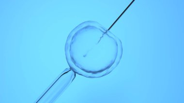 Tüp bebek veya suni döllenme, 3D işleme