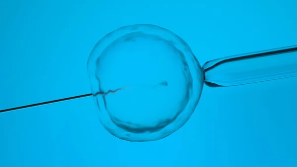 体外受精或人工授精 3D授精 — 图库照片