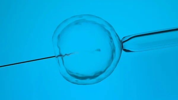 Fecondazione Vitro Inseminazione Artificiale Rendering — Foto Stock