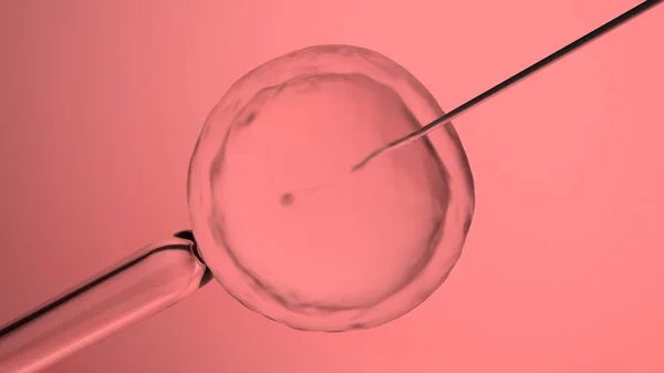 In vitro fertilization or artificial insemination, 3D-rendering