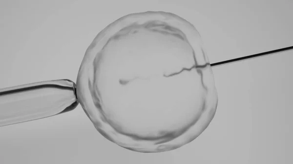 In vitro fertilization or artificial insemination, 3D-rendering
