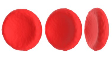 Kırmızı kan hücresi beyaz arka planda izole edildi, 3D görüntüleme