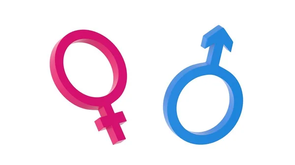 在白人背景上孤立的性别符号 3D渲染 两性平等 规模上的性别符号 — 图库照片