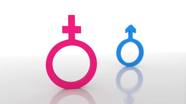 Geschlechtssymbole Isoliert Auf Weißem Hintergrund Rendering Gleichstellung Der Geschlechter Geschlechtersymbole — Stockfoto