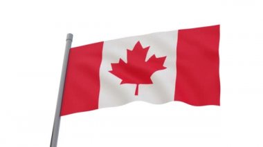 Canadian flag on flagpole. Isolated on white background. Canada waving flag. Looping video. Repeat. 3D-rendering.
