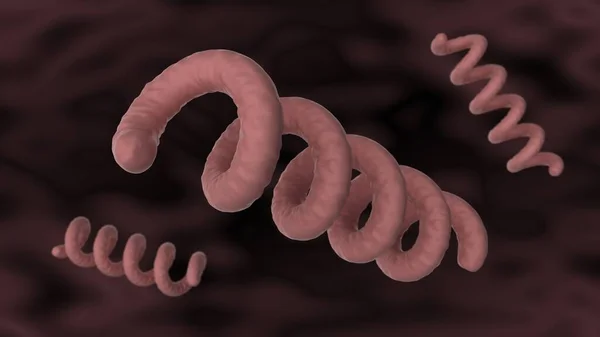 Treponema Pallidum Unter Dem Mikroskop Bakterium Das Syphilis Verursacht Nahaufnahme — Stockfoto