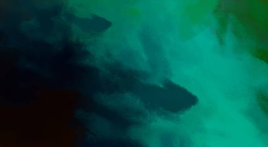 Taranmış Boyalı Soyut Arkaplan. Fırça darbesi ile boyanmış. Sanatsal canlılık ve renkli duvar kağıdı.