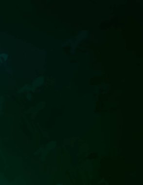 Taranmış Boyalı Soyut Arkaplan. Fırça darbesi ile boyanmış. Sanatsal canlılık ve renkli duvar kağıdı.