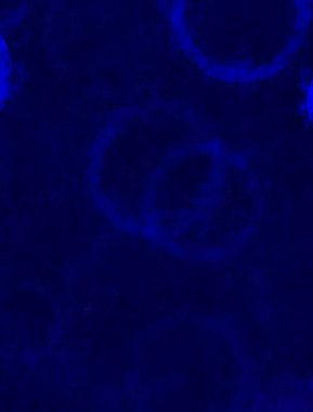 Modern sanat. Renkli çağdaş sanat eserleri. Renkli boya darbeleri. Soyut arkaplanda fırça darbeleri. fırça boyası.