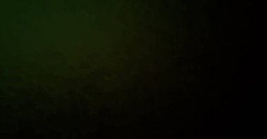 Taranmış Boyalı Soyut Arkaplan. Fırça darbesi ile boyanmış. Sanatsal canlılık ve renkli duvar kağıdı.