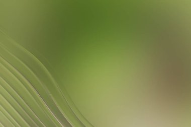 Güzel, sofistike arka plan. Renkli şekilleri ve çizgileri olan minimalist tasarım. Güzel, basit, soyut bir duvar kağıdı. En küçük girdap desenli 2d illüstrasyon grafiği.