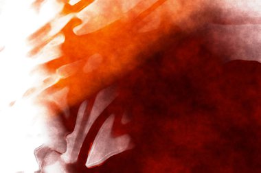 Beyaz arkaplanda soyut renkli suluboya. Dijital resim.