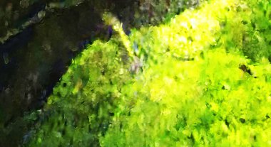 Modern sanat. Renkli çağdaş sanat eserleri. Renkli boya darbeleri. Soyut arkaplanda fırça darbeleri. fırça boyası.