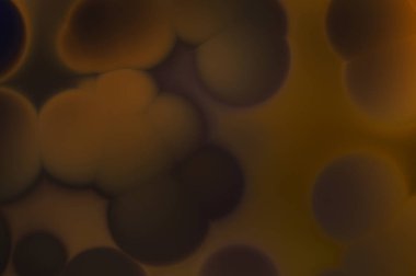 Fraktal güzel bir geçmişi var. Renkli şekilleri ve çizgileri olan havalı bir tasarım. Soyut sanat duvar kâğıdı. İlginç desenli hippi grafik resmi.