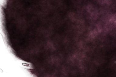 Beyaz arkaplanda soyut renkli suluboya. Dijital resim.