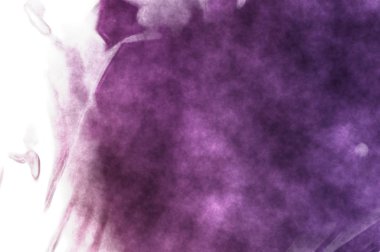 Beyaz arkaplanda soyut renkli suluboya. Dijital resim.