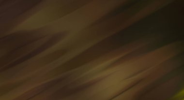 Parlak renk dalgalarıyla serin bir arka plan. Dalgalı hareketin 2D çizimi. Girdap gibi renkli canlı şekiller. Soyut kavramsal duvar kağıdı.