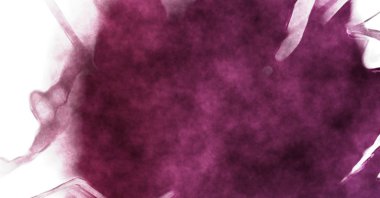 Beyaz arkaplanda soyut renkli suluboya. Dijital resim.