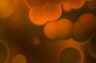 Fraktal güzel bir geçmişi var. Renkli şekilleri ve çizgileri olan havalı bir tasarım. Soyut sanat duvar kâğıdı. İlginç desenli hippi grafik resmi.