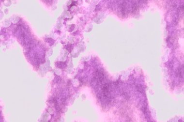 Suluboya arka plan. Soyut Illustration duvar kağıdı. Fırça darbesi ile boyanmış. 2d Görüntü.